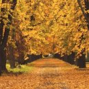 아늑한공간 이미지