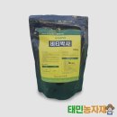 비티박사 해충박사 250ml 진딧물 퇴치 친환경 식물 살충제 추천 후기