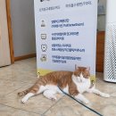 주주 동물병원 이미지