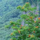 저동 내수전약수터 이미지