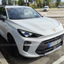 테라마르 이미지