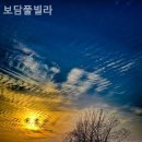 보담풀빌라