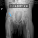 아라종합동물병원 이미지