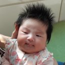 성균관태권스쿨 이미지