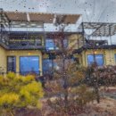 사천체육관 | [3월 일상 기록_#01] 사천 김재성의사천형제국밥, 카페 모도록 후기