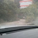 숲속원광유치원 이미지