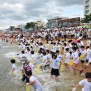 장사항 22일부터 오징어 맨손잡기축제 이미지