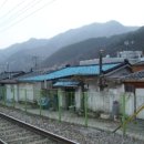 도계읍사무소 이미지