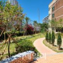 청솔초등학교 이미지