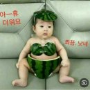 🍉워매~너무나 덥죠? 시원한 이미지, 인사말 보고가세요!🍉 이미지