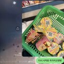 정빈카 | Sunburst