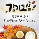일미가