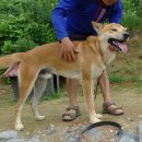 (주)새롬환경 이미지