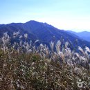 장수한누리전당 너울관 헬스장 | [전라북도 장수군] 장안산군립공원