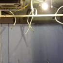 보이스 싱어 코인 노래연습장 이미지