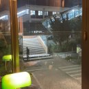 모모포차 이미지