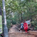 우면산7-2-3 이미지