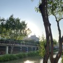 서울밥집 이미지