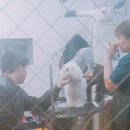 스테이 펫 살롱 이미지