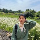 휴양펜션스위스마을 이미지