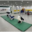 한체대힘찬태권도체육관 | 송파태권도 아이의 안전한 성장을 돕는 한체대힘찬태권도 체험기