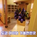 도쿄 가족여행 아이와 장난감 미술관 갔다가 현지 돈가스 맛집 후기