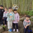 김천모암초등학교 이미지