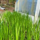 천남농장 이미지