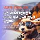 [반려동물 동반여행] 01/25(토)댕냥이와 함께하는 파주 당일 여행 #헤이리마을 #잔디 운동장 신청하세요~^^ 이미지