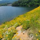 용수상회 - 완주군 | 용수상회