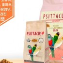 브리더스 퀄리티 이미지