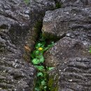 제주돌마을공원 이미지