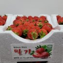 기찬농장 2 이미지