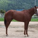 영남슈퍼 이미지