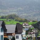 이탈리아. 스위스 패키지관광여행 여행기(39) ... 빗속에 산들의 여왕이라는 리기산을 오르다. 이미지