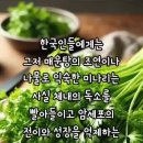 미나리 - 제주시 삼무로11길 34 | 미나리