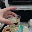 053-1 | 하와이 호눌룰루 신혼여행 대한항공 KE053 좌석 기내식 탑승 후기