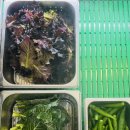 봉곡냉삼집 이미지