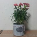 충주해솔유치원 | [충주] 저렴하고 예쁜 꽃집추천 크리스탈아카데미 플라워