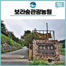 영산로 288 이미지