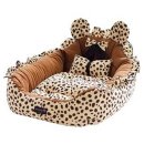 오로라펫 이미지