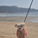 왕산가족오토캠핑장