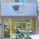 댕이발소 이미지