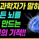 늙지 않는 뇌를 만드는 충격적인 비밀! / 10분만에 뇌를 바꾸는 10가지 방법 / 새로운 뇌세포 만드는 법 / 책읽어주는여자 이미지