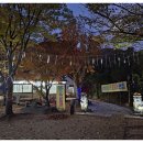 술이술술 이미지