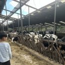 예당축사 이미지