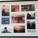 내고향회집