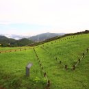 광양 마로산성 이미지