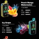 진영2호 이미지