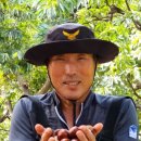 이평3로 이미지